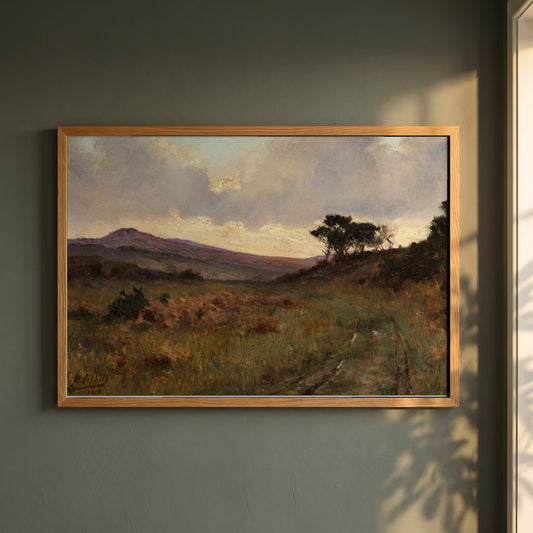 Castletownshend, County Cork framed print in a natural oak frame on a dark green wall beside a window, dappled plant shadow