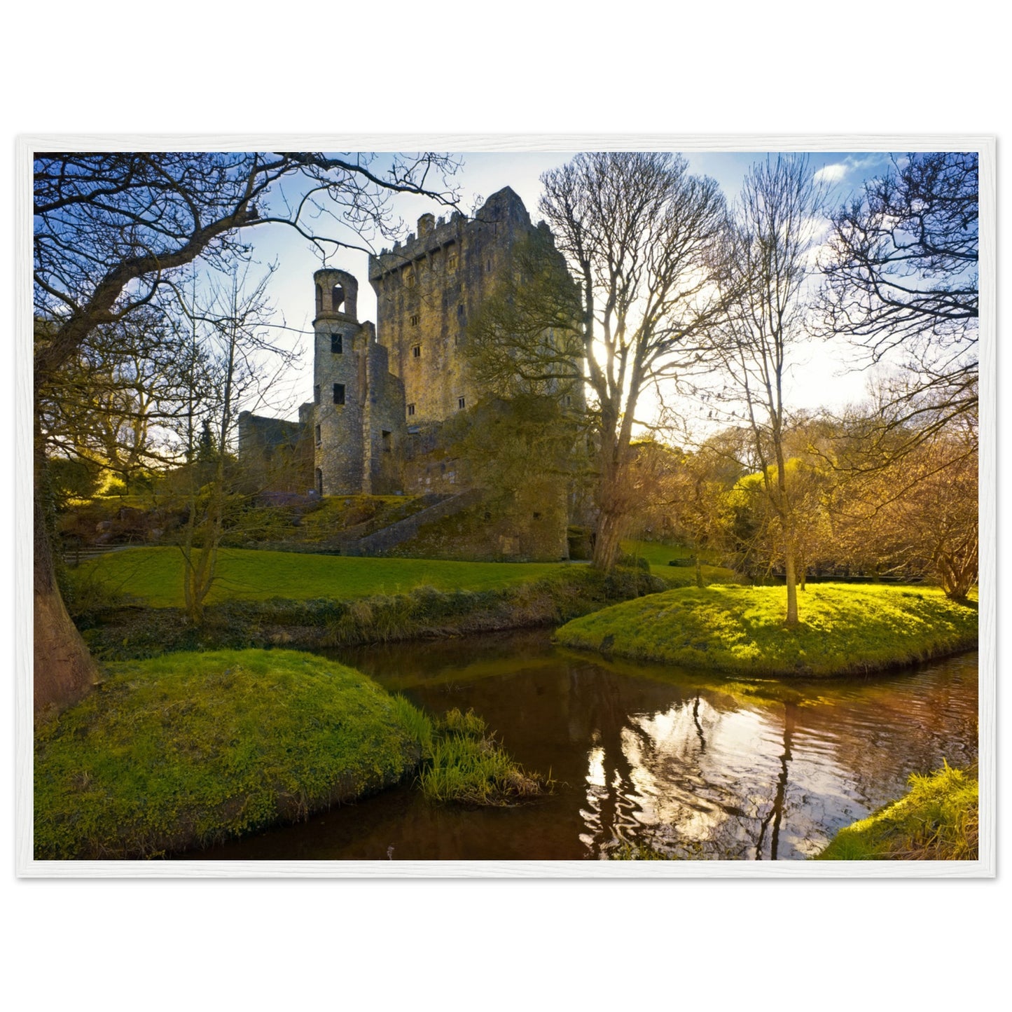 Blarney Castle framed print: Iconic Irish fortress, home to Blarney Stone. Meticulously crafted, transports you to historic grounds where myths intertwine. Delightful addition to home decor, bringing Ireland's spirit. Immerse in Blarney Castle's magic.