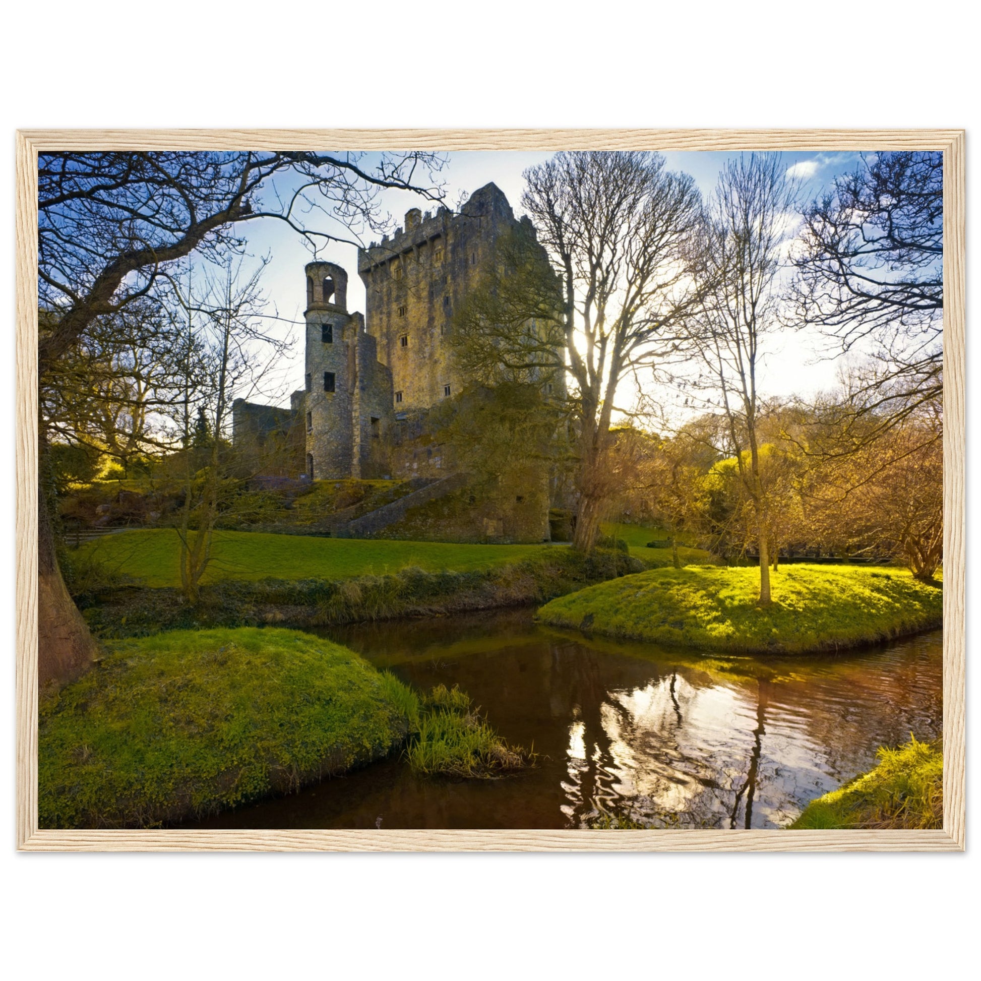 Blarney Castle framed print: Iconic Irish fortress, home to Blarney Stone. Meticulously crafted, transports you to historic grounds where myths intertwine. Delightful addition to home decor, bringing Ireland's spirit. Immerse in Blarney Castle's magic.